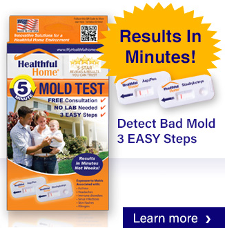 Healthful Home Test For Bad Mold