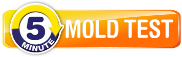 5-Minute Mold Test, Detect Harmful Mold In Minutes