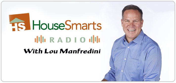 5 minute mold test as heard on the lou manfredini show