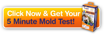 Healthful Home 5-Minute Mold Test 