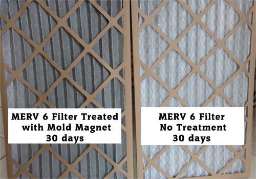 mold magnet furnace filter treatment spray to help with allergy symptoms