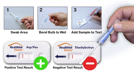 easy three-step mold test shows positive and negative result