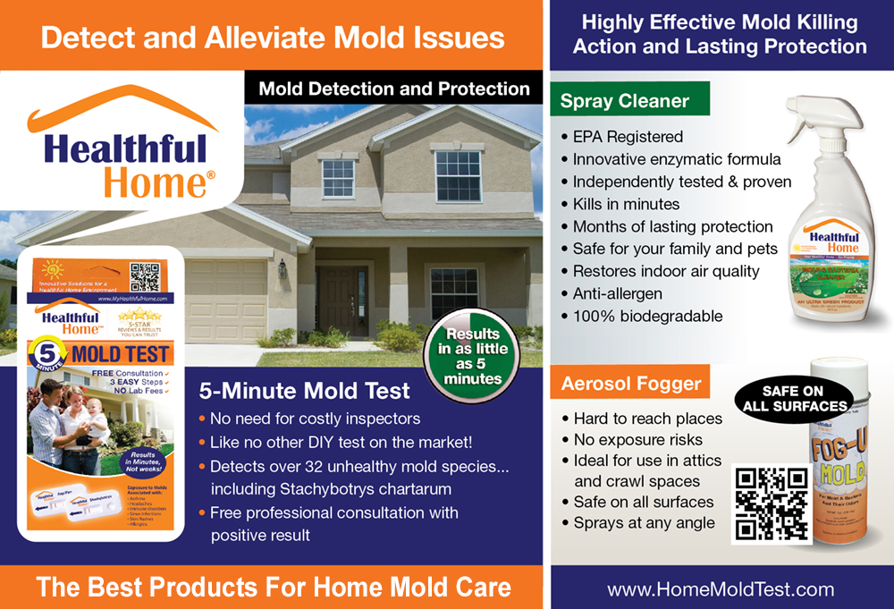 in home mold test