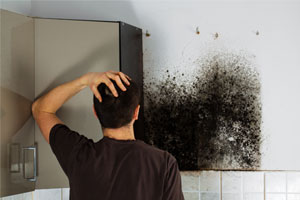 black mold problem in the home