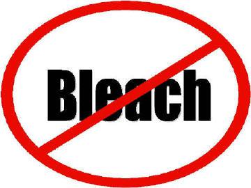 do not use bleach on mold problems