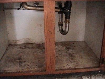 Terrible mold underneath kitchen sink, first time home owner, I