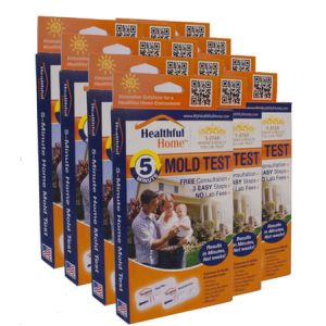 Healthful Home 5-Minute Mold Test Case Pack 12